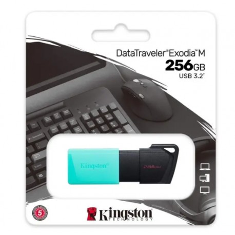 Usb Kingston Z806 256 GB 3.0 Z806